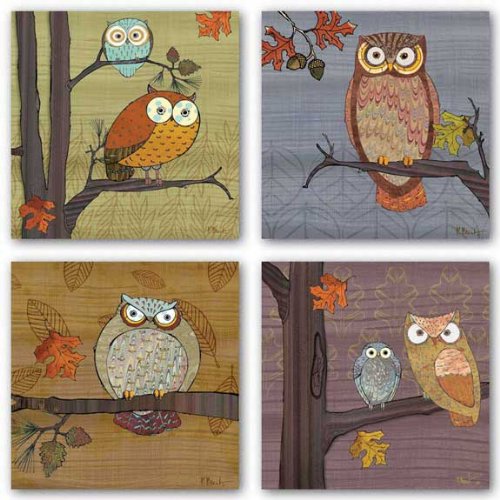Awesome Owls Set by Paul Brent 8x8 Art Print Poster