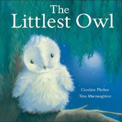 Owl Books | The Littlest Owl Book