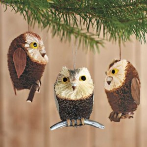Brushy Owl Ornaments