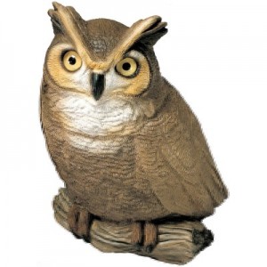 Sandicast Original Size Owl Sculpture Statue