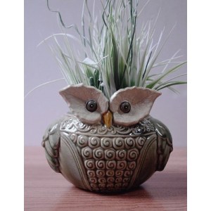 Ceramic Wise Old Owl Planter or Vase