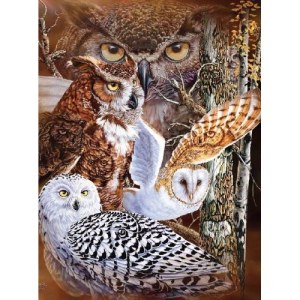 Super Soft Plush Queen Size Owl Blanket