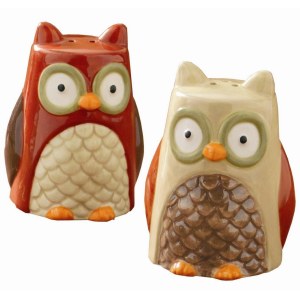 Tag Turning Leaves Collection Owl Salt and Pepper Shakers
