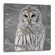 3dRose dpp_21195_3 Barred Owl Wall Clock, 15 by 15-Inch