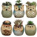 6 Pack Big Smile Owl Pot, Ceramic Flowing Glaze Base Serial Set Succulent Plant Pot Cactus Plant Pot Flower Pot Container Planter Bonsai Pots With A Drainage Hole Perfect Gife Idea