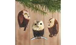 Brushy Owl Ornaments (set of 3)