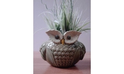 Ceramic Wise Old Owl Planter or Vase