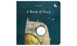 A Book of Sleep, An Owls Journey