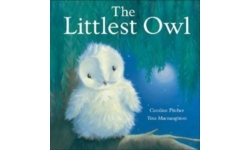 The Littlest Owl Book Childrens Story Book