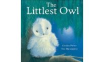 The Littlest Owl Book Childrens Story Book