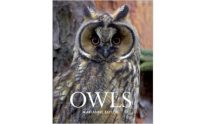 Owls by Marianne Taylor Owl Book