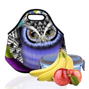 Lunch Tote, OFEILY Lunch boxes Lunch bags with Fine Neoprene Material Waterproof Picnic Lunch Bag Mom Bag (Owl)