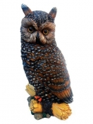 Hocus Pocus the Owl Resin Statue By Micheal Carr Figurine Decor
