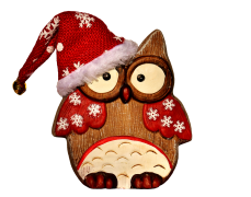 Christmas Holiday Red Owl Picture With Hat