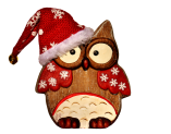 Christmas Holiday Red Owl Picture With Hat