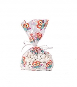 Owl Party Cellophane Bags (1 Dozen)