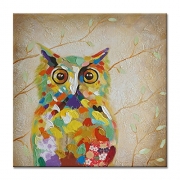 Stretched Canvas Print of a Colorful Owl Art