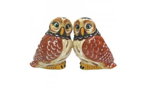 Magnetic Owl Salt and Pepper Shaker Set