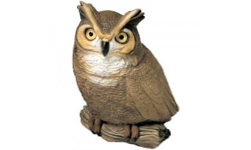 Sandicast Original Size Owl Sculpture Statue