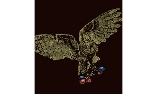 Mister Owl Tootsie Pop Shirt