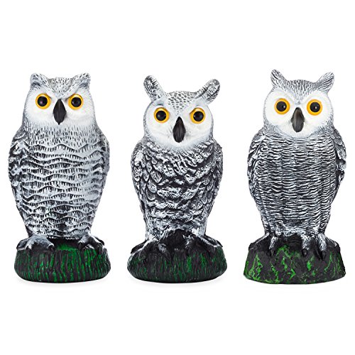 Bird Blinder Scarecrow Fake Owl Decoys – Pest Repellent Garden Protectors – (small) (set of 3)