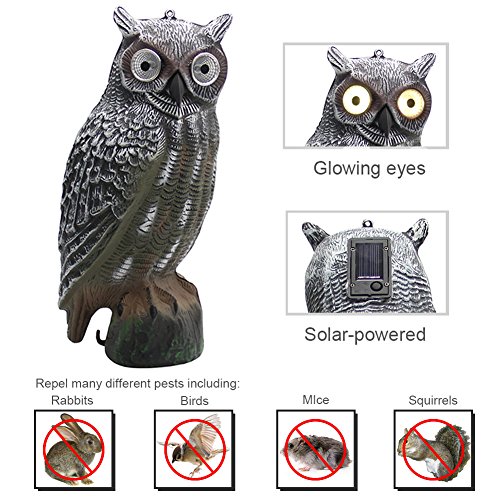 YOFIT  Solar Bird Scarecrow Fake Horned Owl Decoy, Bird Repellent Garden Protectors, Natural Enemy Pest Deterrent Scarecrow