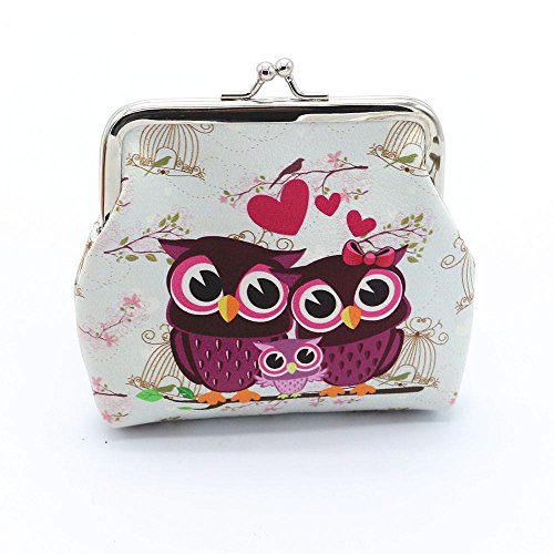 Beautyvan HOT！Cute Vintage Wallet Fashion Cute Charming Women Lady Retro Vintage Owl Small Wallet Hasp Purse Clutch Bag (D)